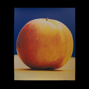 Florent Tanet : Nectarine