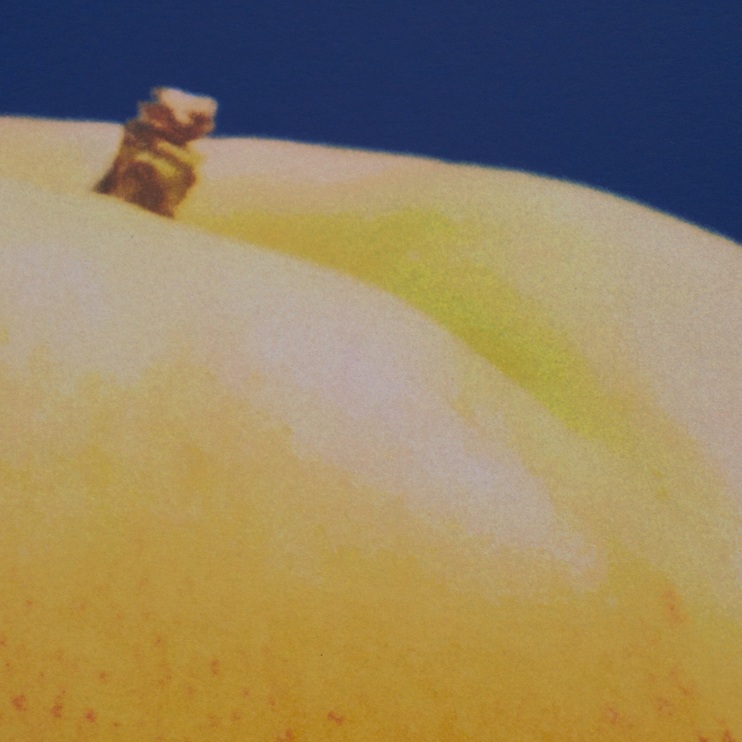 Florent Tanet : Nectarine – Image 3