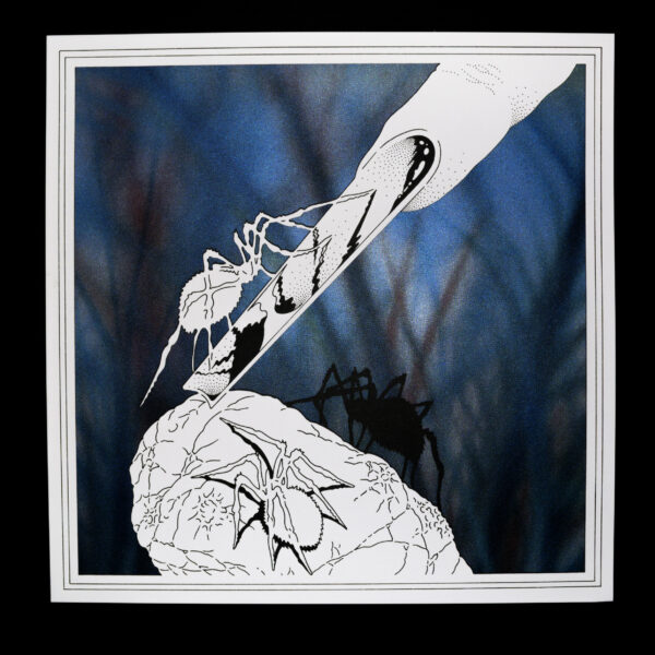 Alterbop : Jul Quanouai – Image 4